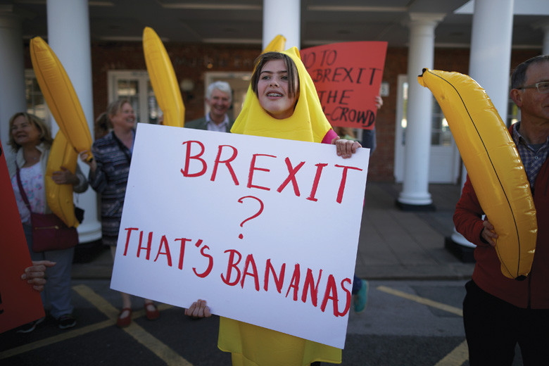 Anti-Brexit supporters dressed as bananas, Vote Leave rally, England Anti-Brexit supporters dressed as bananas, Vote Leave rally, England