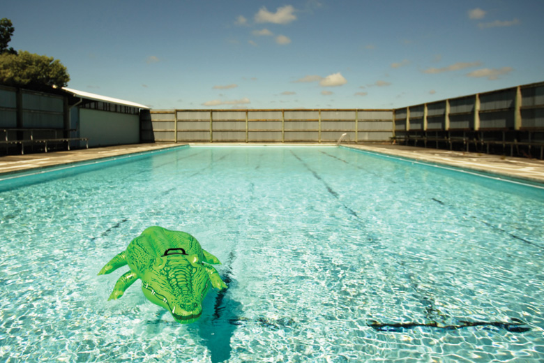 Inflatable crocodile floating in swimming pool Inflatable crocodile floating in swimming pool