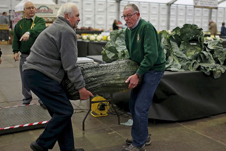 men-carrying-marrow men-carrying-marrow