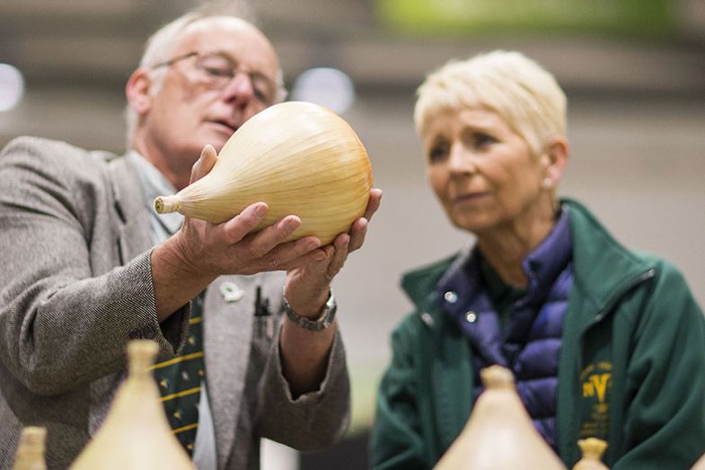 onion-examiner onion-examiner