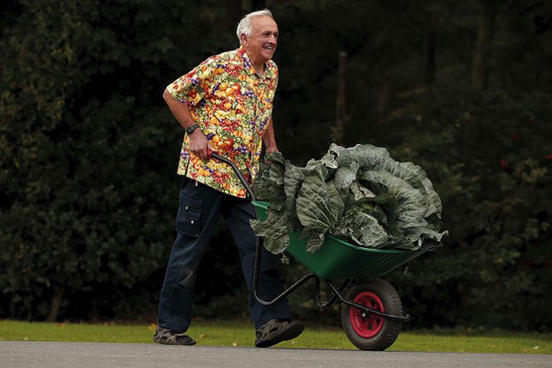 wheelbarrow-greens wheelbarrow-greens