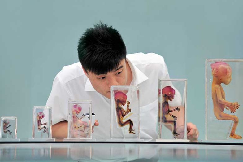 foetus-jars foetus-jars