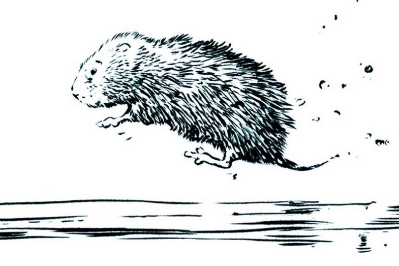 river-singers river-singers