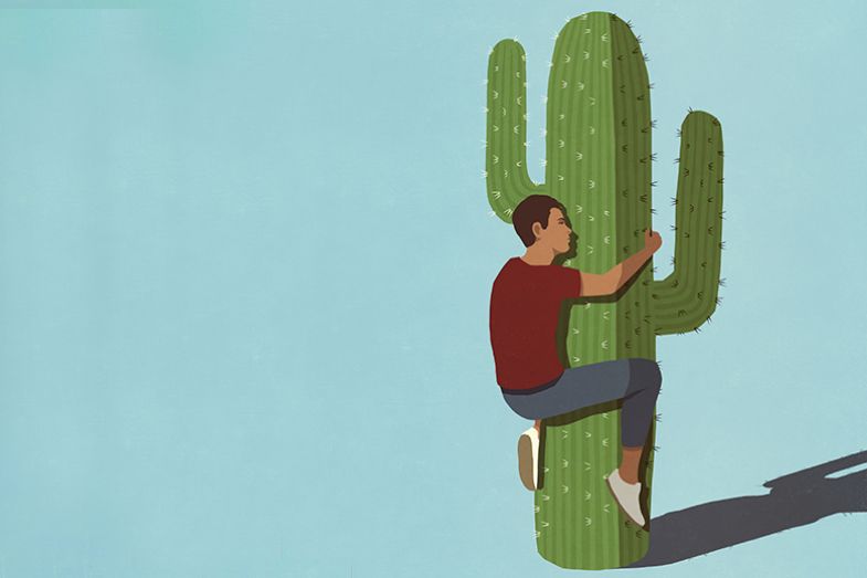 Work-Life Balance Survey 2022. Hugging a cactus - to suggest job security. Work-Life Balance Survey 2022. Hugging a cactus - to suggest job security.