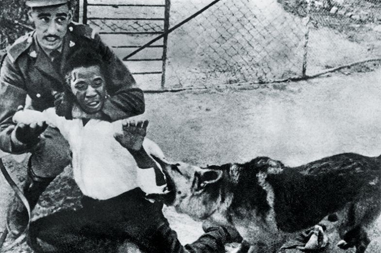 colonial soldier man dog colonial soldier man dog