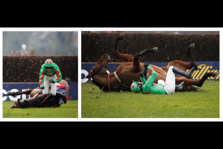 horse falling horse fallling