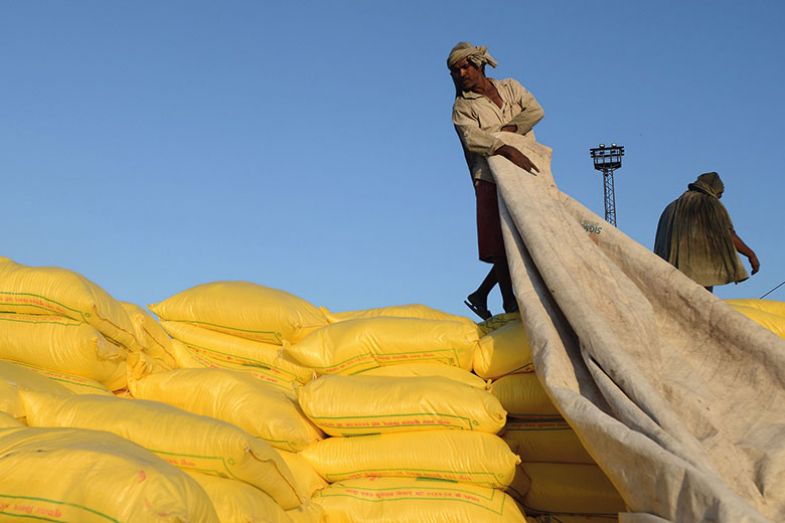 india man sacks india man sacks