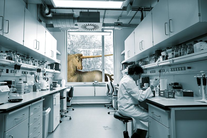 Unicorn peeking through lab window Unicorn peeking through lab window