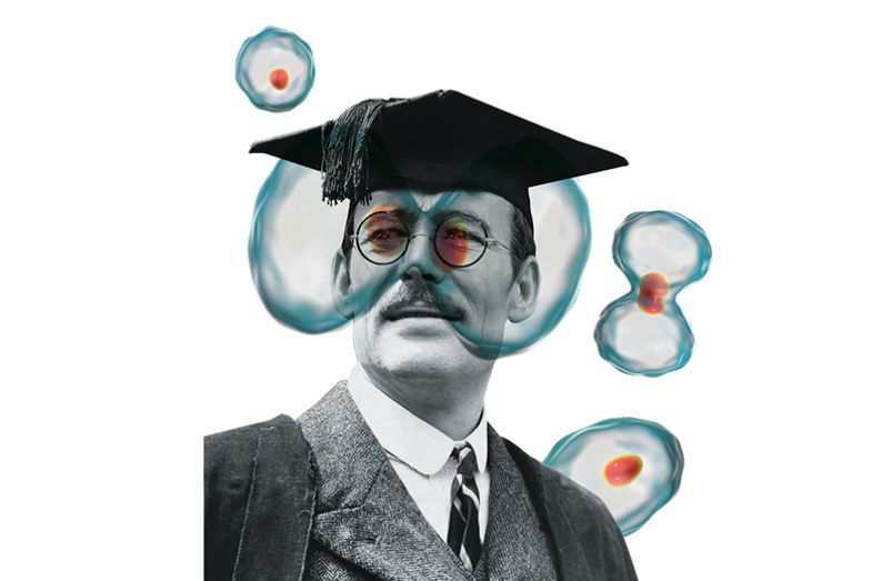 Mr Chips montage with cell division taking place around him Mr Chips montage with cell division taking place around him