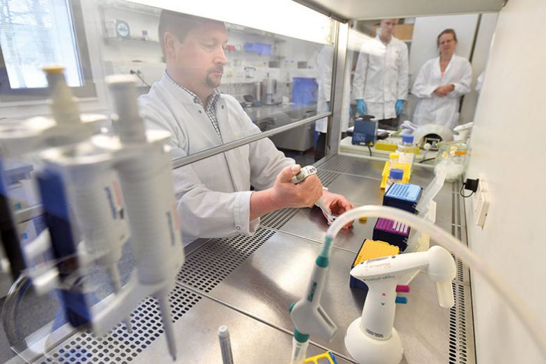 Scientific staff at TUM