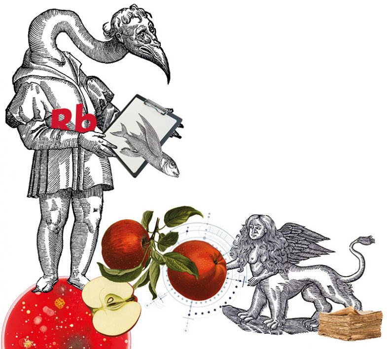 Birdman illustration Birdman illustration