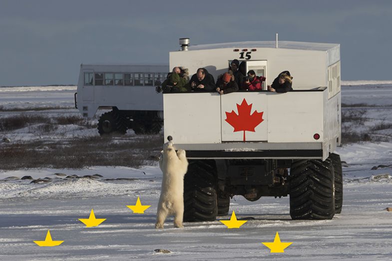 Polar bear watchers on a truck near Cape Churchill, Manitoba, Canada with stars from the EU flag sticking out of the ice. To illustrate whether participating in Horizon Europe remains attractive for third countries.