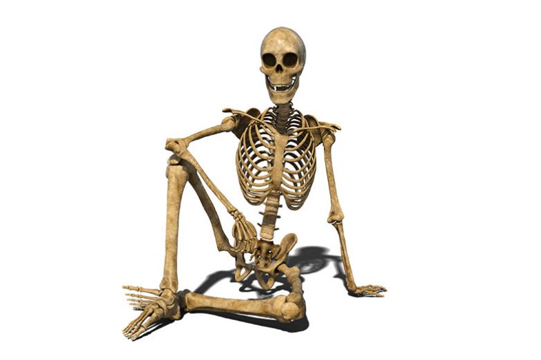 Skeleton Skeleton