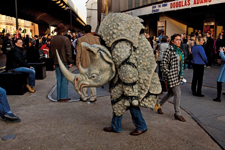 Man in rhino costume Man in rhino costume