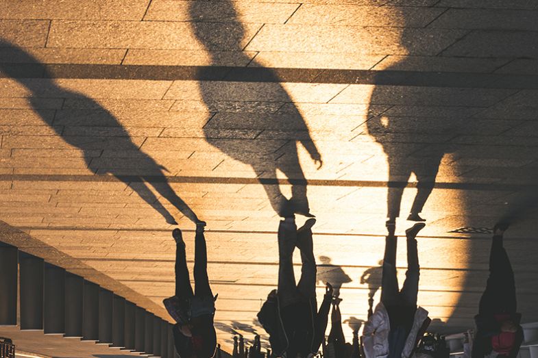 shadows shadows