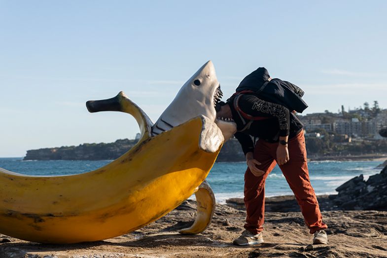 A person places their head in the mouth of a shark banana sculpture by Drew Macdonald in Sydney, Australia. To illustrate whether Australian universities are crying wolf over their finances, especially given the number of job cuts