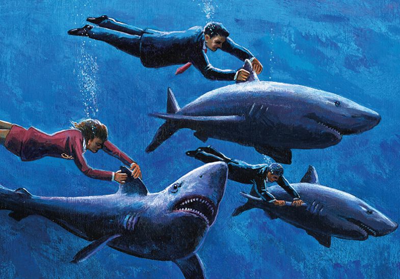 people trying to catch sharks people trying to catch sharks