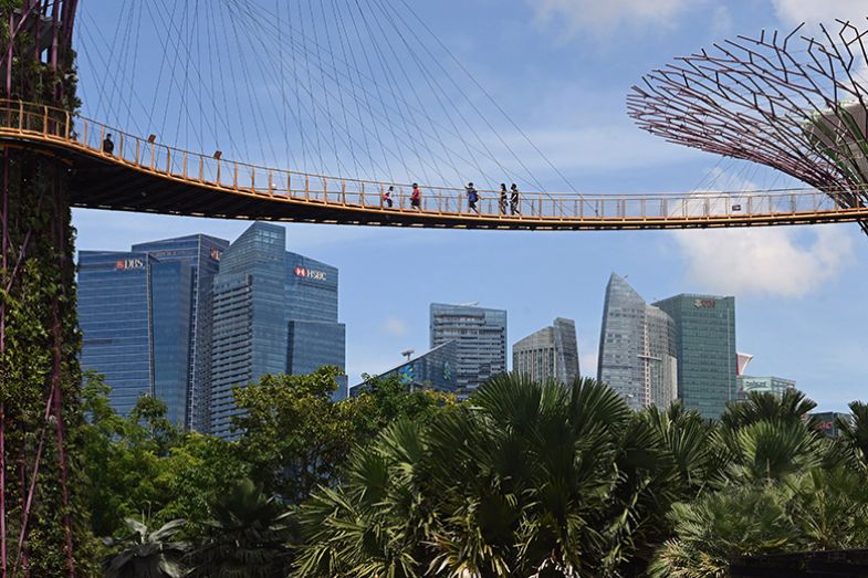 Visitors walk across the Supertree Grove skyway at Gardens by the Bay in Singapore. To illustrate that universities in Singapore need to find a balance between attracting foreign talent and nurturing local faculty. Visitors walk across the Supertree Grove skyway at Gardens by the Bay in Singapore. To illustrate that universities in Singapore need to find a balance between attracting foreign talent and nurturing local faculty.