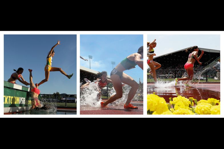 Steeplechase Steeplechase