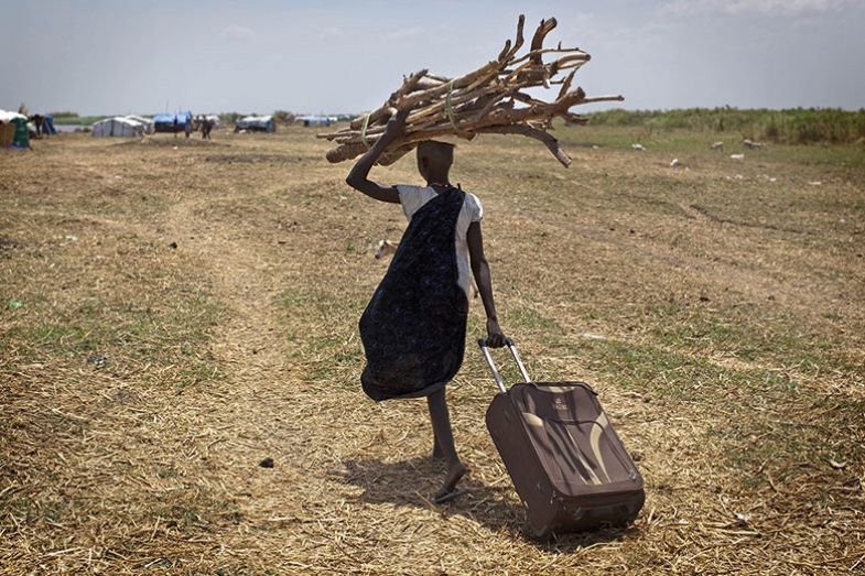 sticks suitcase walking sudan sticks suitcase walking sudan