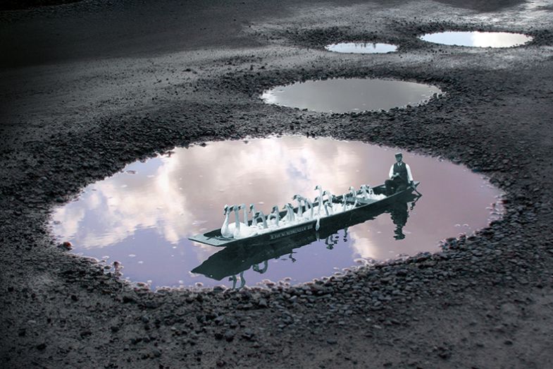 Montage of a historical picture of a man rowing a boat with swans in a puddle Montage of a historical picture of a man rowing a boat with swans in a puddle