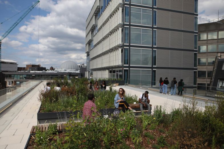 London School of Economics Centre Building LSE sustainability London School of Economics Centre Building LSE sustainability