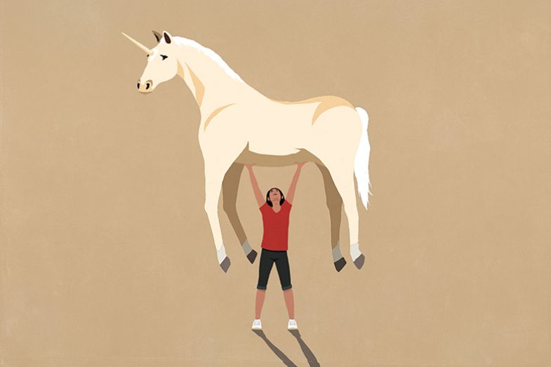 Illustration of woman lifting a unicorn. To illustrate the Unrealistic Self-Promoter. Illustration of woman lifting a unicorn. To illustrate the Unrealistic Self-Promoter.