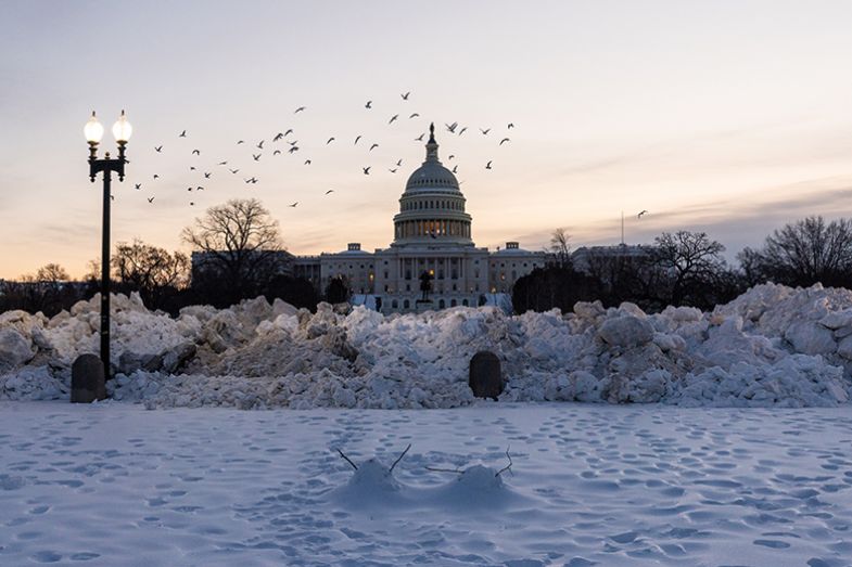 After a winter storm that swept across the nation, snow is cleared and deposited near the United States Capitol reflecting pool on 31 January 2026 in Washington, DC. 