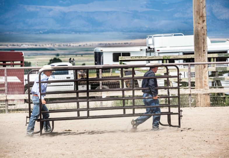 Two cowboys help at rodeo carrying metal gates Two cowboys help at rodeo carrying metal gates