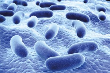 3D render of colony of pathogenic viruses 3D render of colony of pathogenic viruses