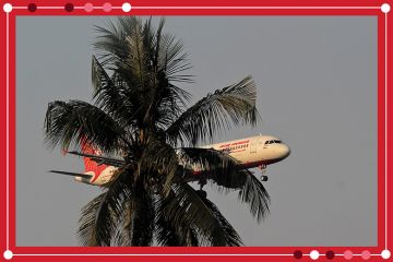 An Air India passenger flight prepares for landing at the Biju Patnaik International Airport seen behind a tree, illustrating branch campuses in India. 