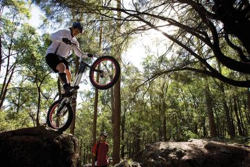 Mountain bike in forest
