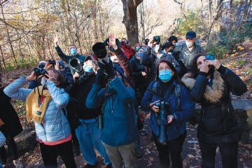 Birdwatchers illustrating community-led research