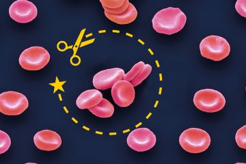 Red blood cells