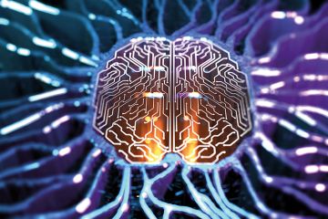 Circuit board brain