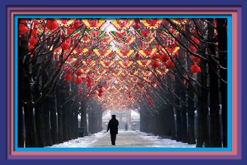 A man strolls down a tree-lined walkway decorated with butterflies and red lanterns in Beijing, China. To illustrate that Asian universities have stalled in their rise up the rankings. A man strolls down a tree-lined walkway decorated with butterflies and red lanterns in Beijing, China. To illustrate that Asian universities have stalled in their rise up the rankings.