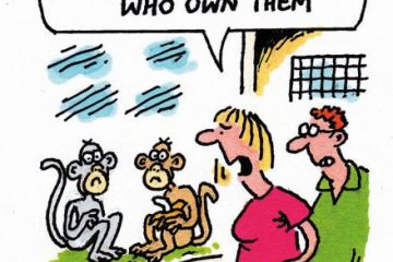 Cartoon 6 June 2019