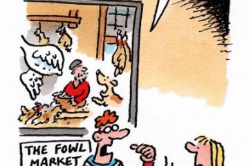 Week in HE cartoon