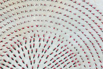 Chinese martial arts festival