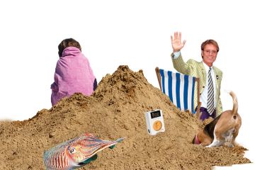 Cliff Richard and cuttlefish on the beach