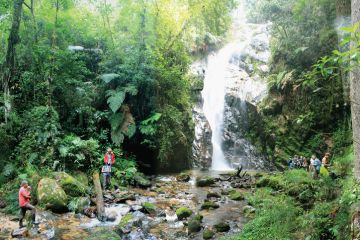 Conservationists working near waterfall Conservationists working near waterfall