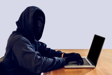 contract cheat fraud essay mill