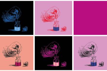 Cover image 20 January 2022