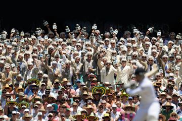 cricket crowd