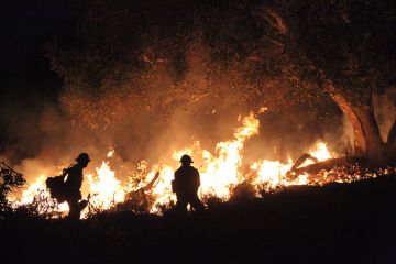 December 11, 2017 - Fire crews, using controlled burns, create a barrier in the foothills of Carpinteria, California, in the hopes of containing the Thomas fire in Southern California. December 11, 2017 - Fire crews, using controlled burns, create a barrier in the foothills of Carpinteria, California, in the hopes of containing the Thomas fire in Southern California.