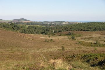 Devon landscape Devon landscape