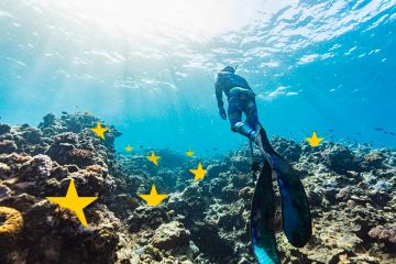 A diver in the Great Barrier Reef, Australia, with stars from the European Union flag on the seabed. To illustrate Australian universities renewing their campaign to join Horizon Europe. A diver in the Great Barrier Reef, Australia, with stars from the European Union flag on the seabed. To illustrate Australian universities renewing their campaign to join Horizon Europe.