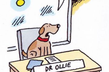 Dog cartoon