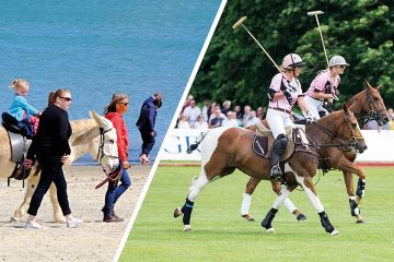 Donkey rides and polo players