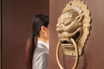 Door knocker